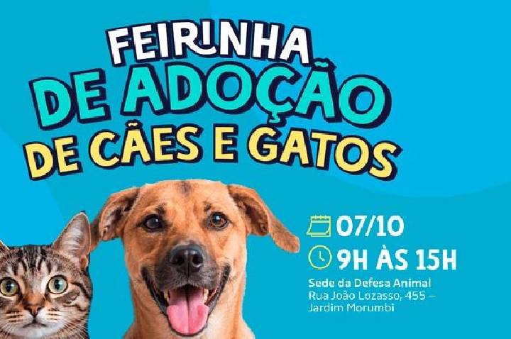 Defesa Animal promove 20ª Feirinha de Adoção 2026 no próximo dia 7