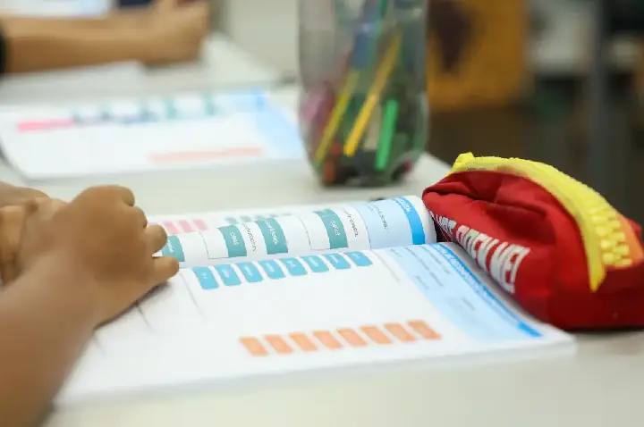 Educação política passa a integrar currículo escolar brasileiro