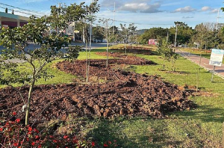 Prefeitura realiza plantio de 400 mudas e reforça ações de arborização urbana em Atibaia