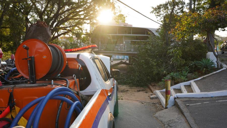 Defesa Civil atende ocorrência de queda de árvore próxima ao teleférico