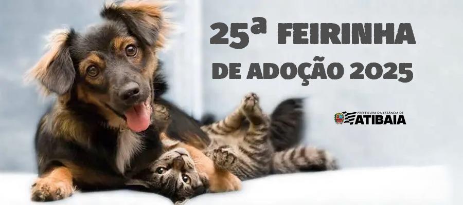 Defesa Animal recebe feira de adoção na quarta-feira (10)