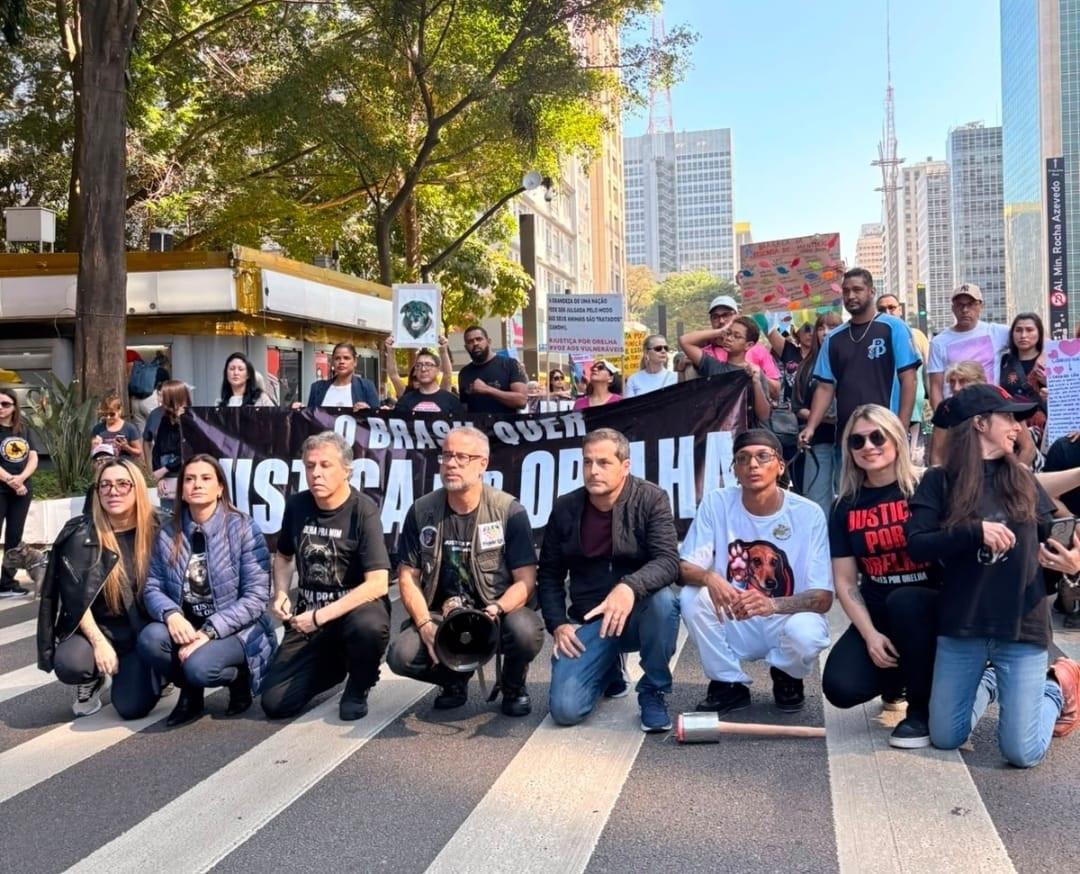 ONG de Atibaia é destaque em manifestação na avenida Paulistas