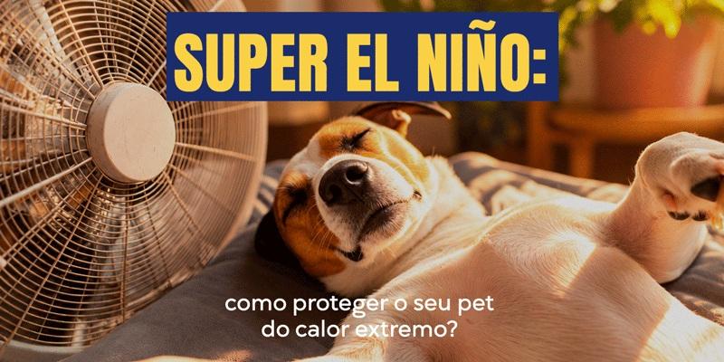 Calor intenso exige cuidados redobrados com cães e gatos